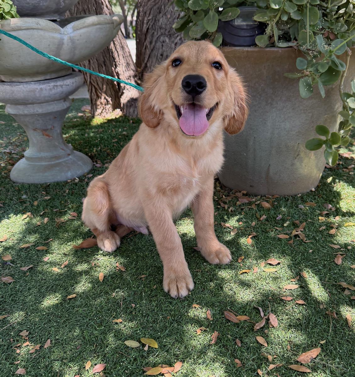 Ben