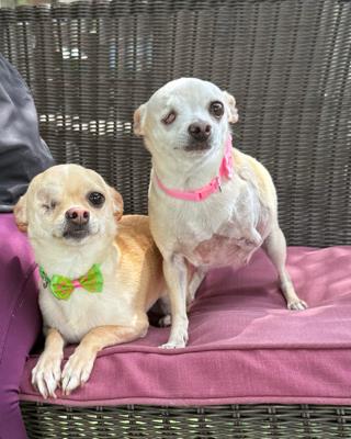 Sissy And Chloe