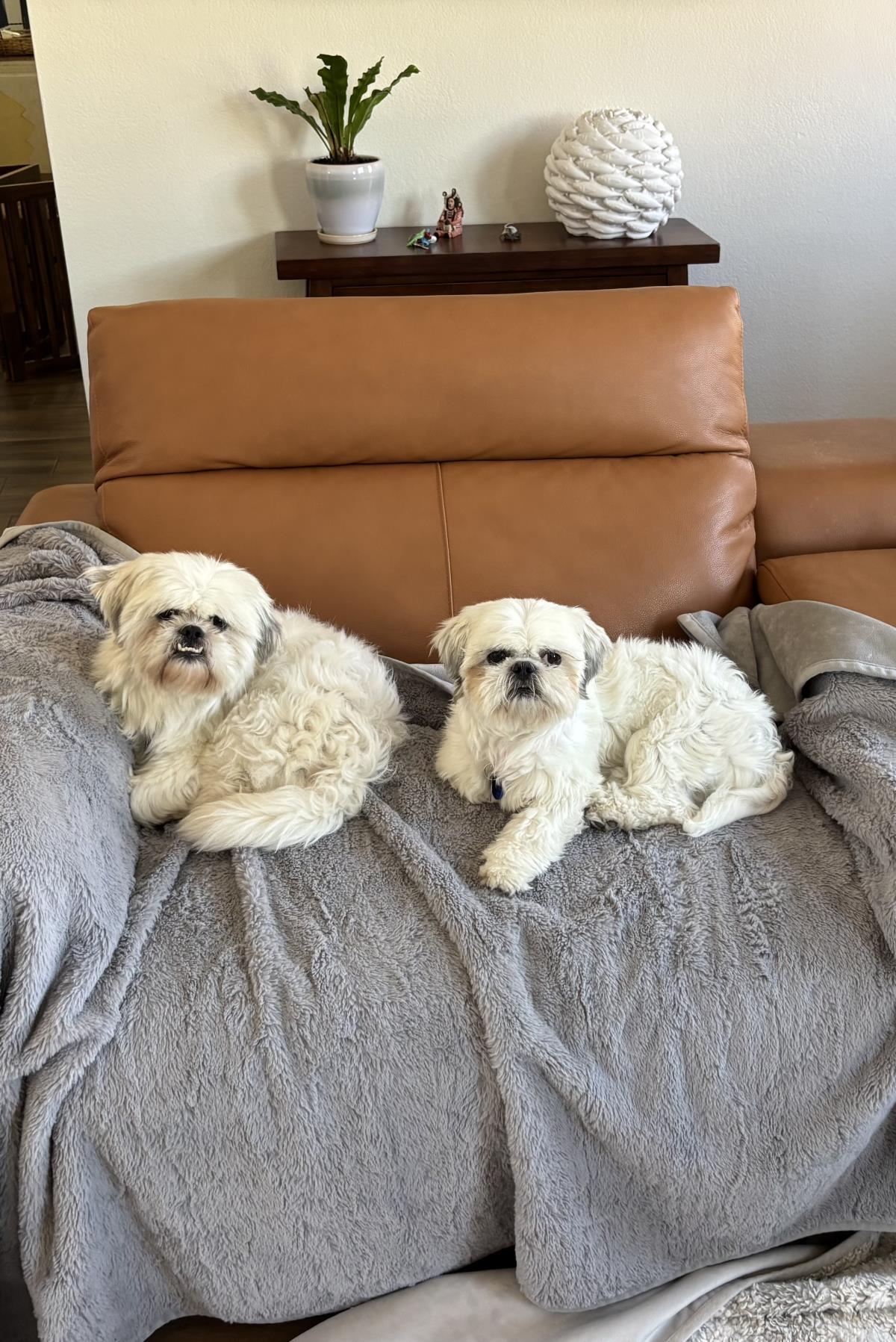 Maggie And Martin