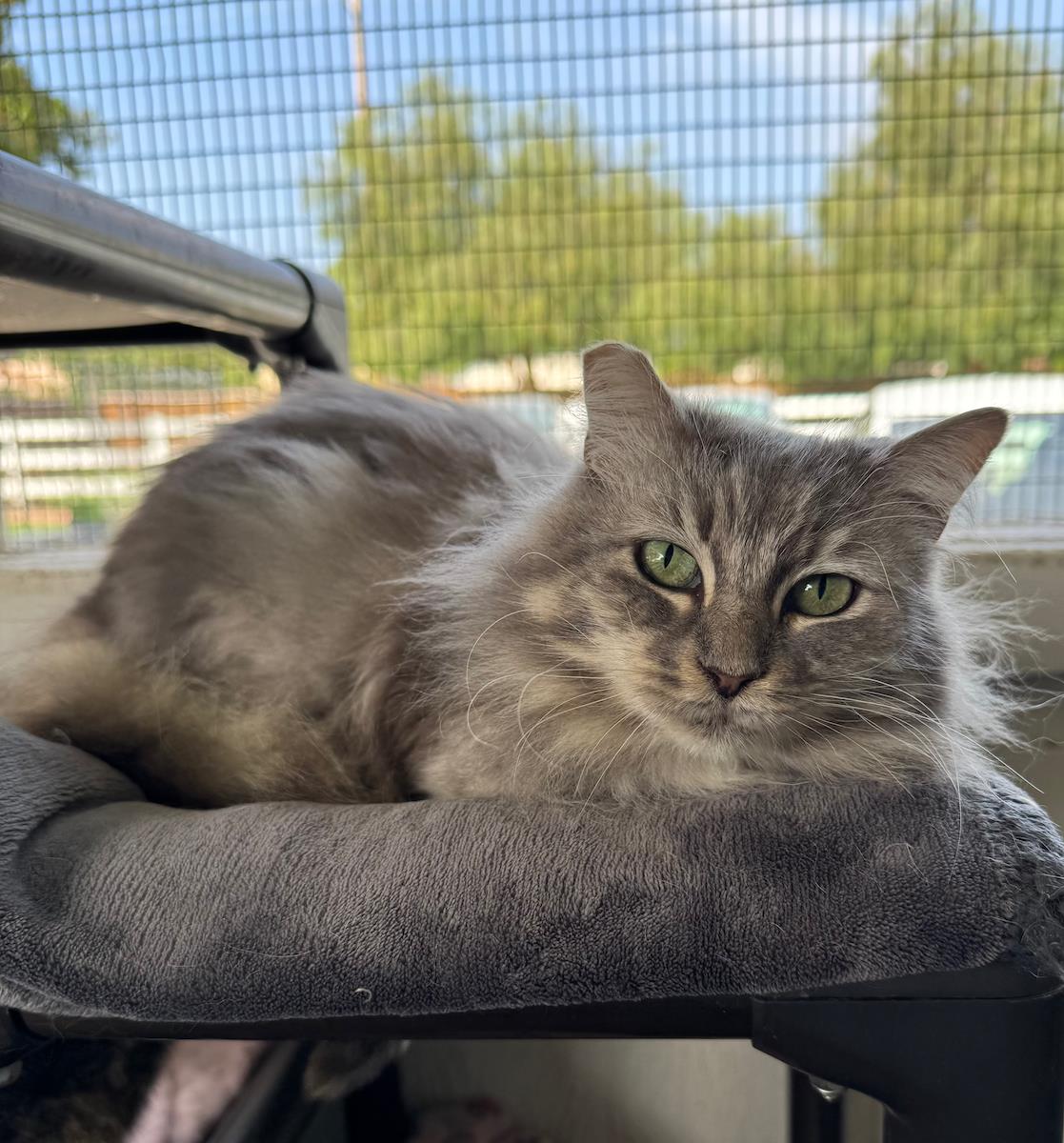 Mimi