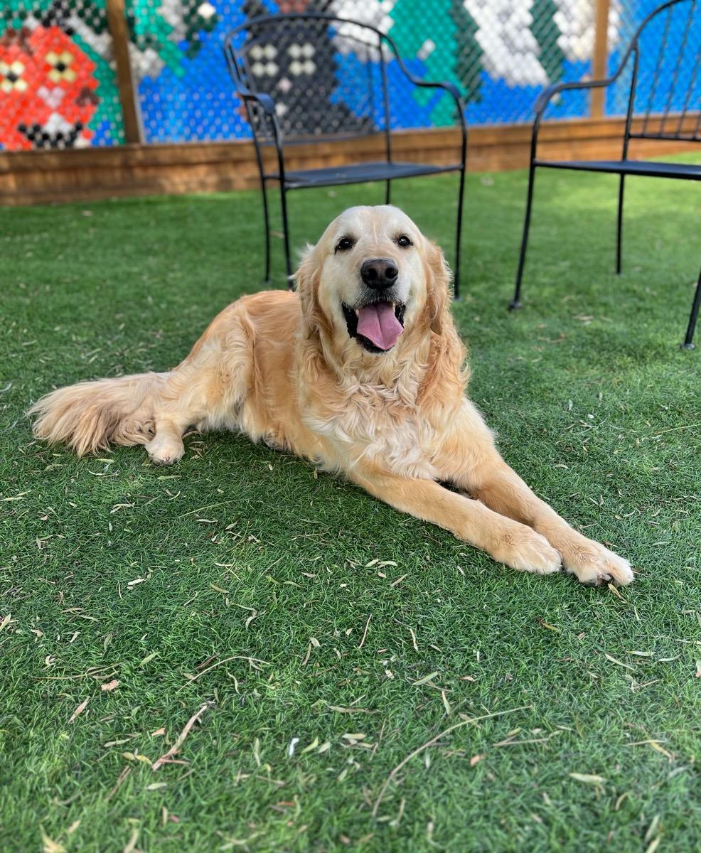 Benny
