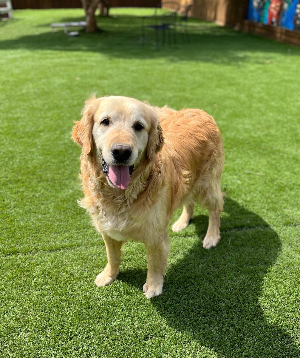 Benny