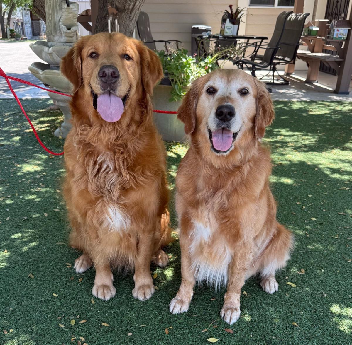Alf And Duffy
