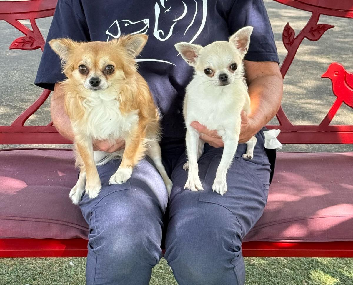 Molly And Buster 