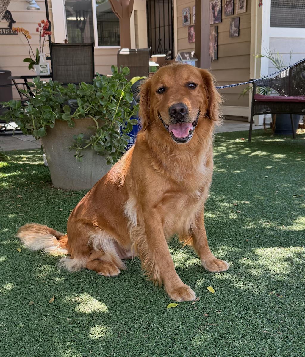 Kahlua